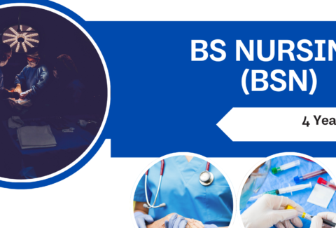 Degree Title (1400 x 353 px)